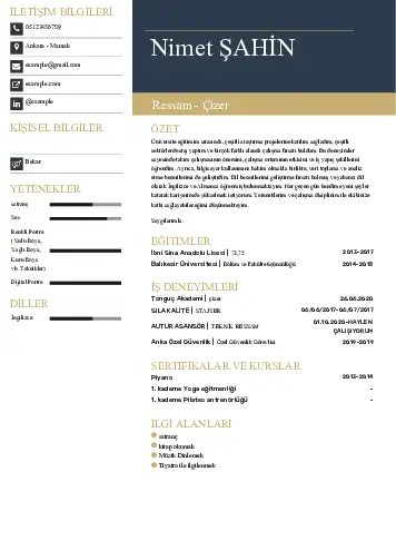 Ressam Cv Örnekleri cv indir